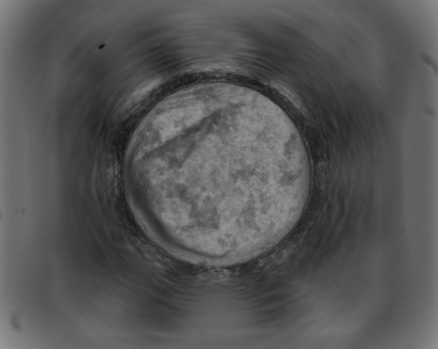 X0000096951111200803071022