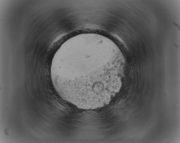 X0000096951112200803071022