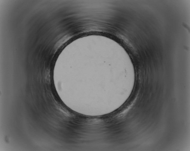 X0000096951113200803071022