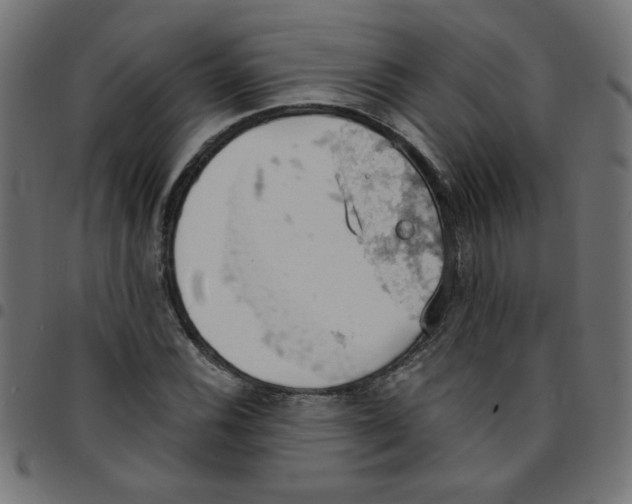 X0000096951116200803071022