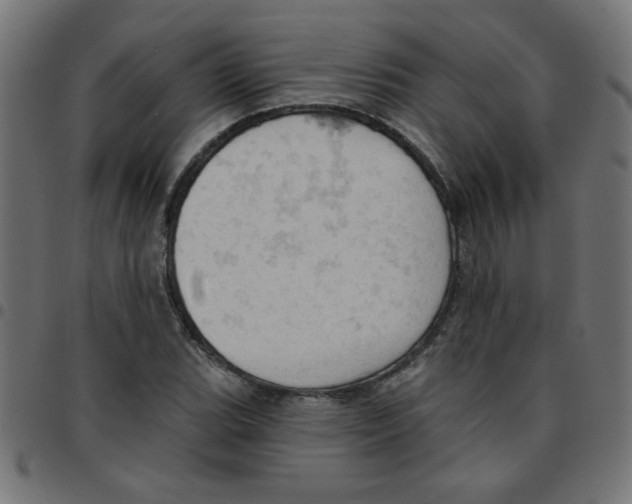 X0000096951119200803071022