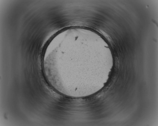 X0000096951120200803071022