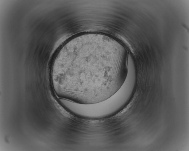 X0000096951122200803071022