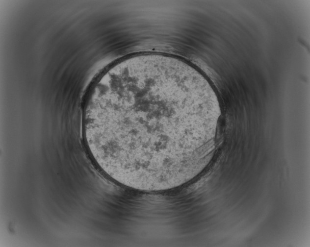 X0000096951123200803071022