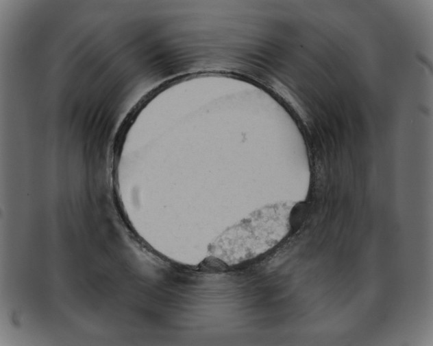 X0000096951124200803071022