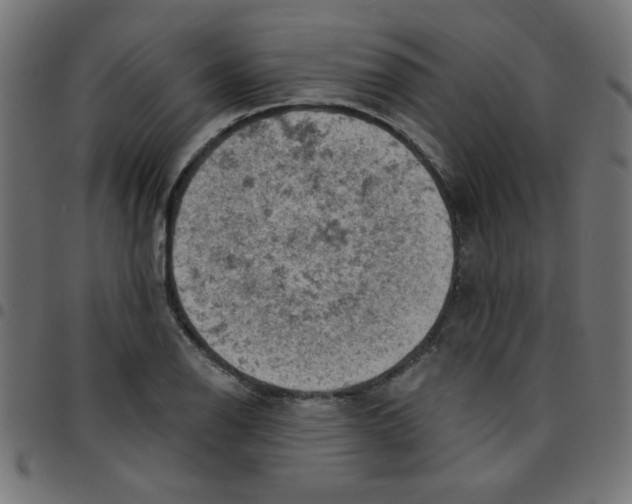 X0000096951126200803071022