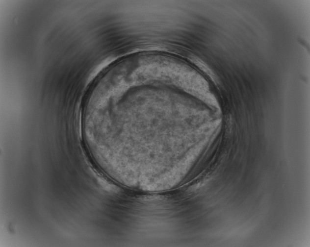 X0000096951127200803071022