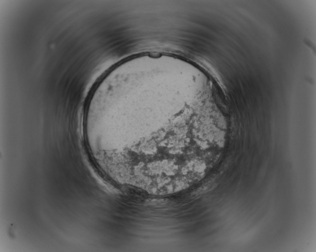 X0000096951128200803071022