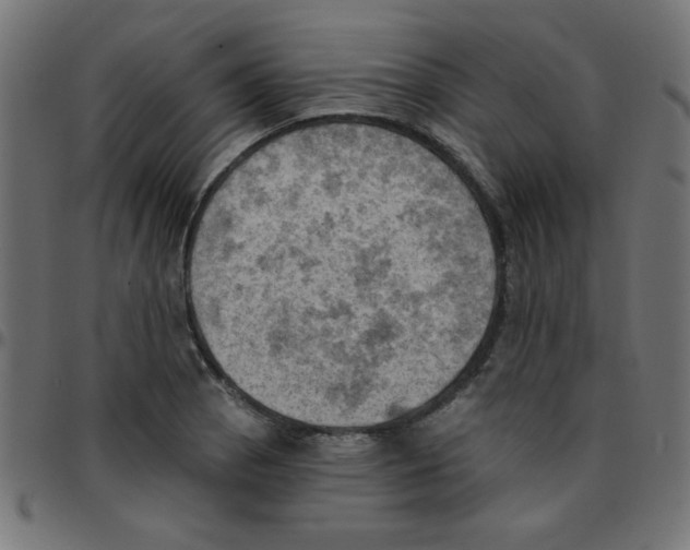 X0000096951129200803071022