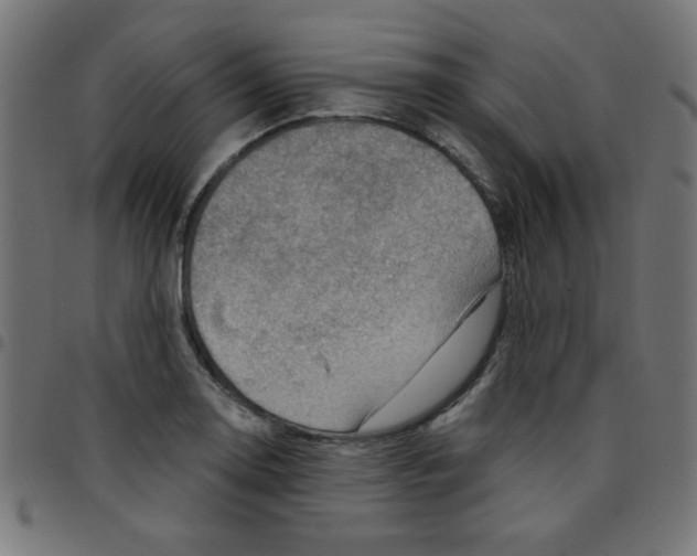 X0000096951130200803071022