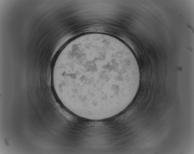 X0000096951131200803071022