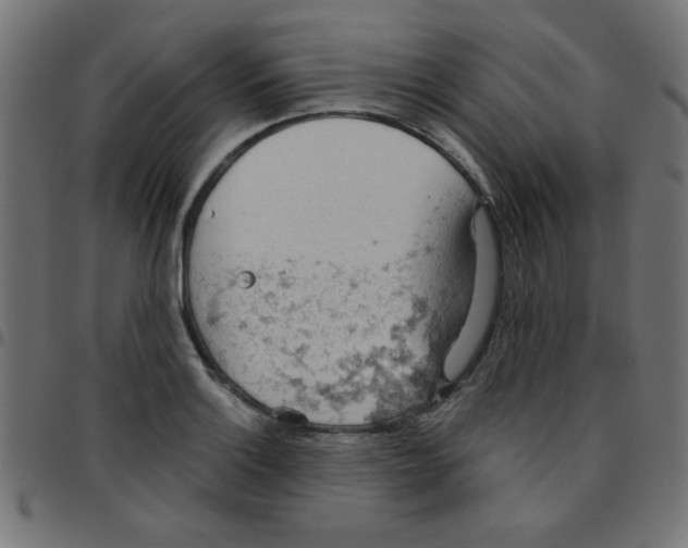 X0000096951132200803071022