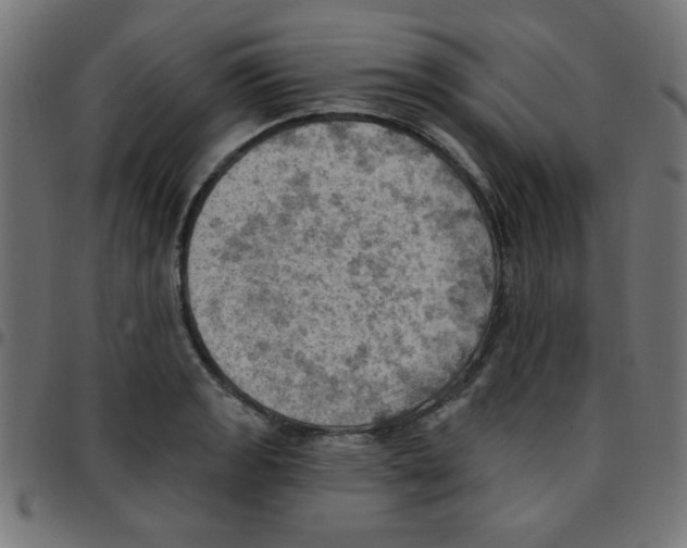X0000096951133200803071022