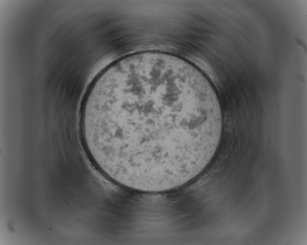 X0000096951135200803071022