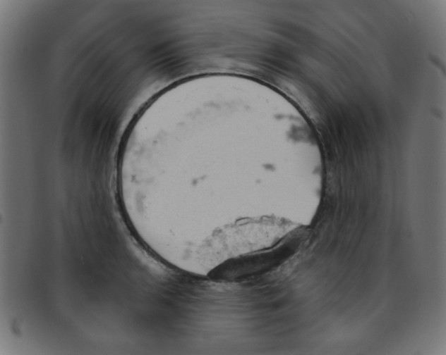 X0000096951136200803071022