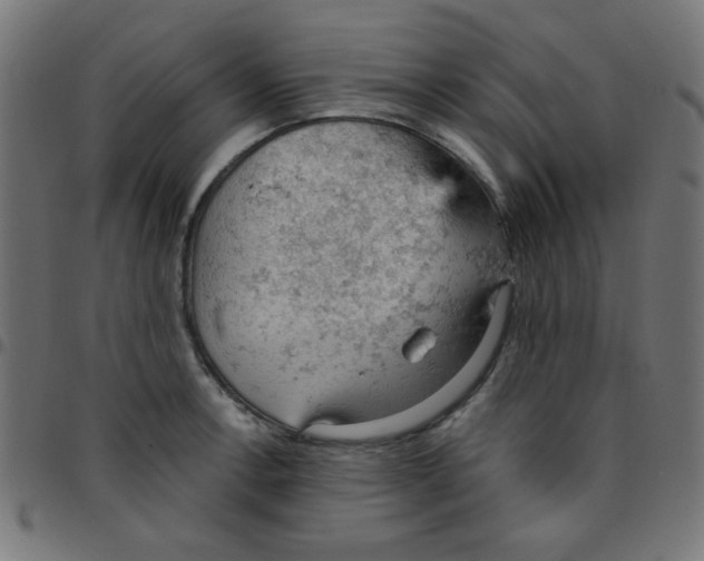 X0000096951138200803071022