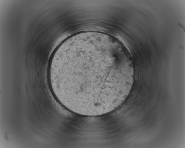 X0000096951139200803071022