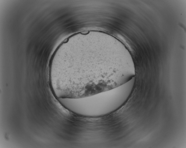 X0000096951140200803071022