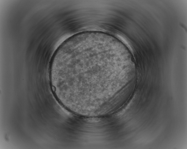 X0000096951141200803071022