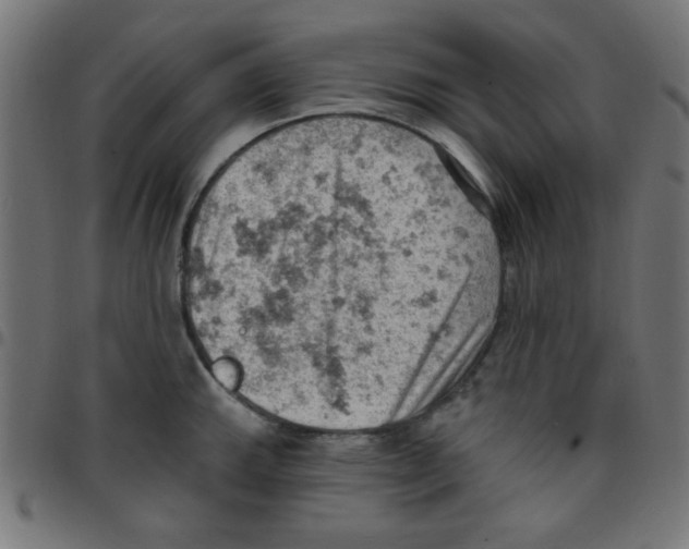 X0000096951143200803071022