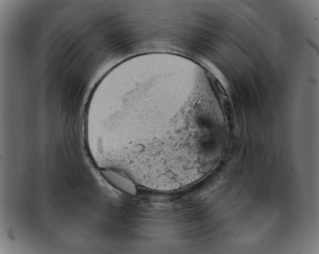 X0000096951144200803071022
