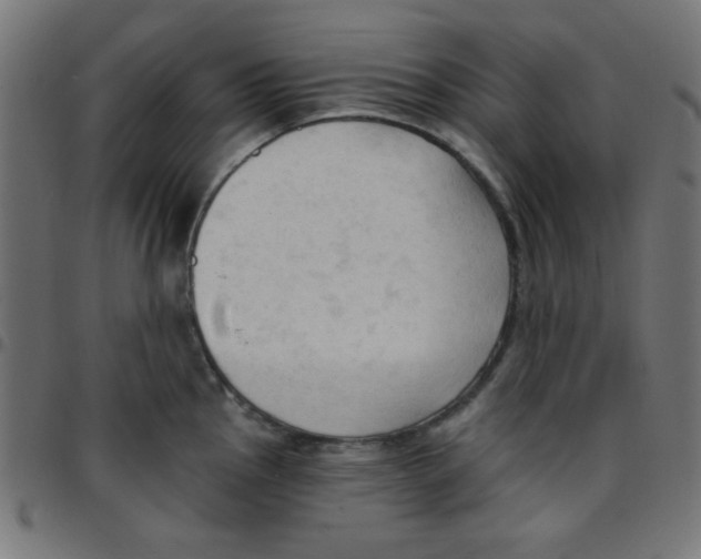 X0000096951145200803071022