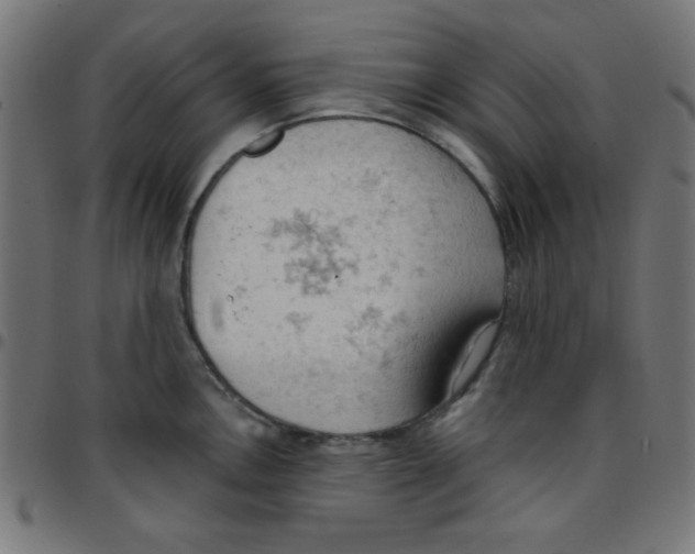 X0000096951146200803071022