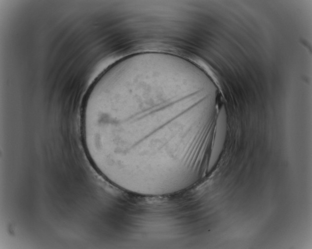 X0000096951147200803071022