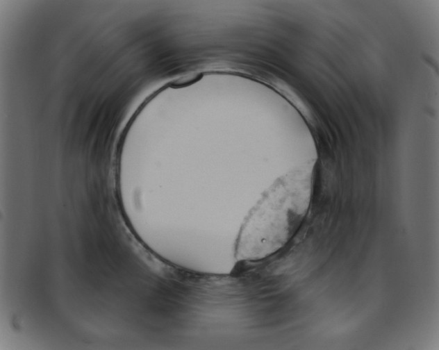 X0000096951148200803071022