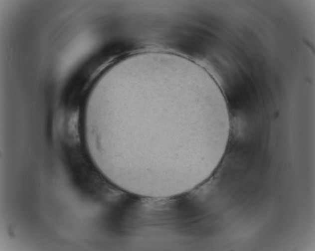 X0000096951150200803071022