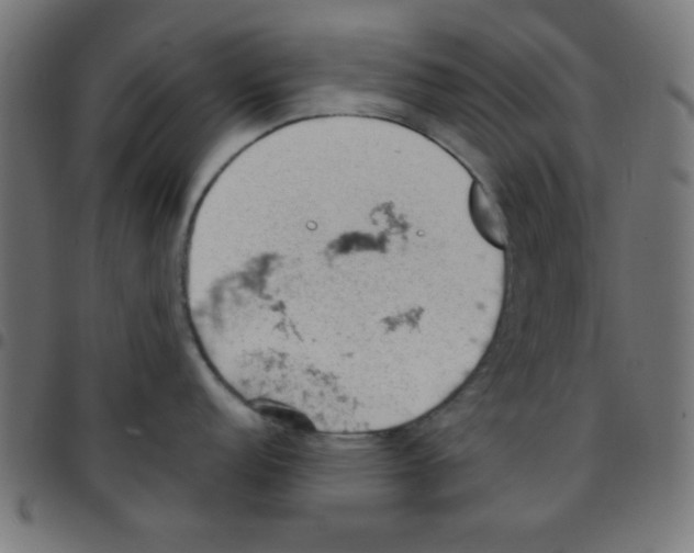 X0000096951152200803071022