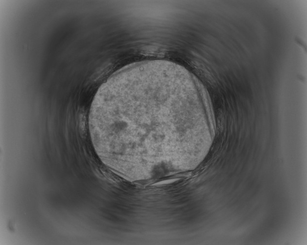 X0000096951154200803071022