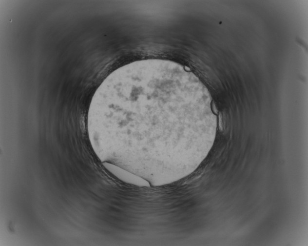 X0000096951155200803071022