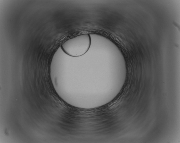 X0000096951156200803071022