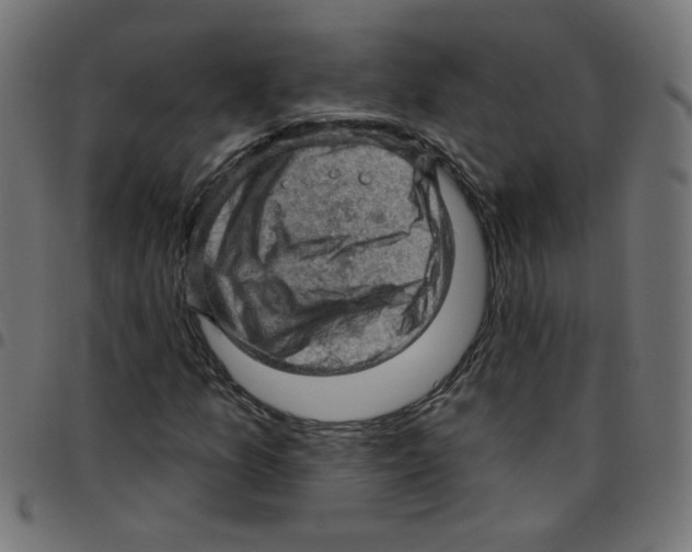 X0000096951157200803071022