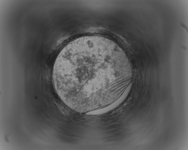 X0000096951158200803071022