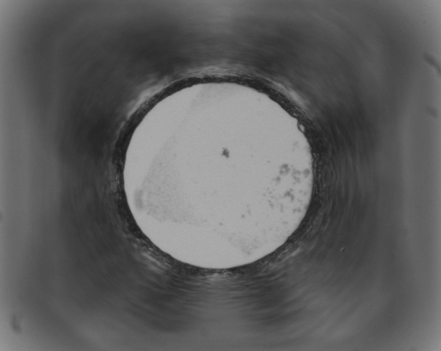 X0000096951160200803071021