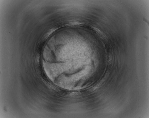 X0000096951161200803071021