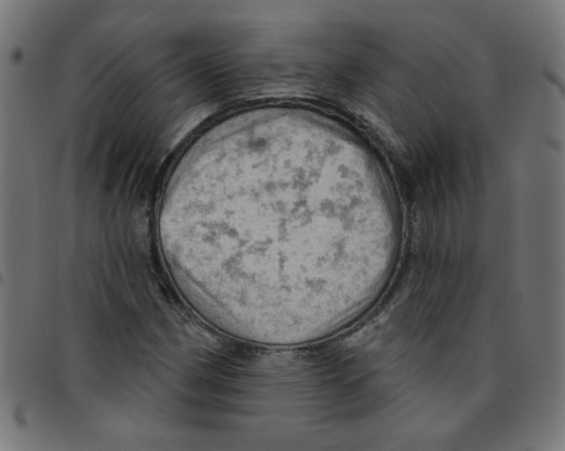 X0000096951162200803071021