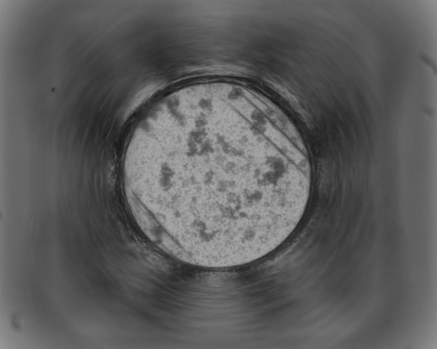 X0000096951163200803071021