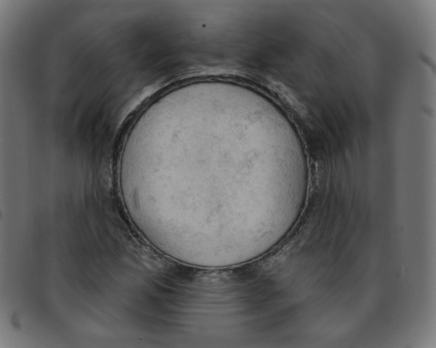 X0000096951165200803071021