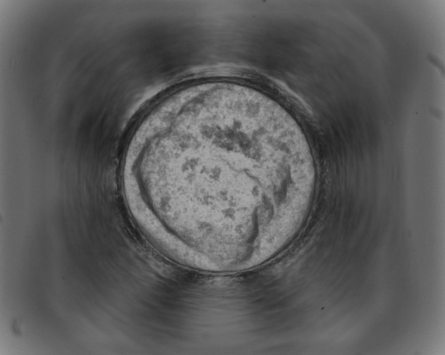 X0000096951166200803071021