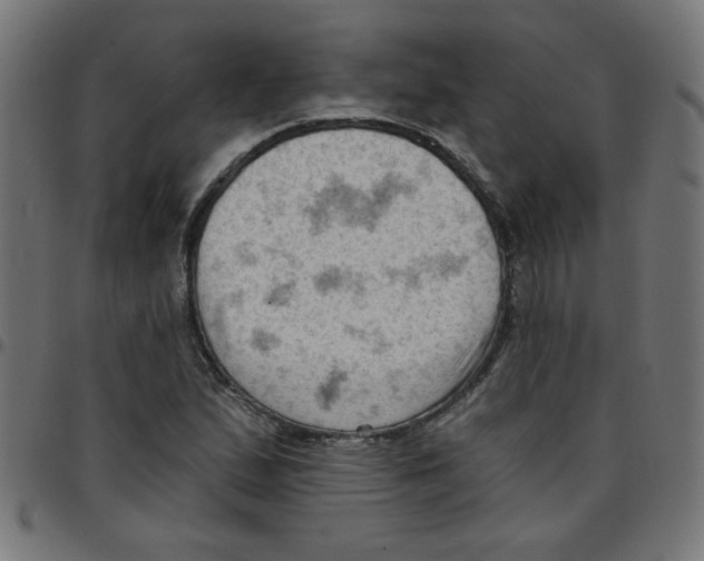 X0000096951167200803071021