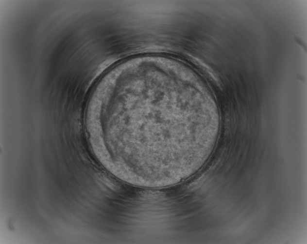 X0000096951170200803071021