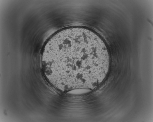 X0000096951171200803071021
