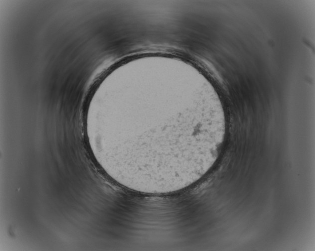X0000096951172200803071021