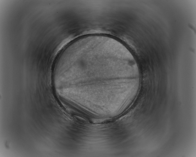 X0000096951173200803071021