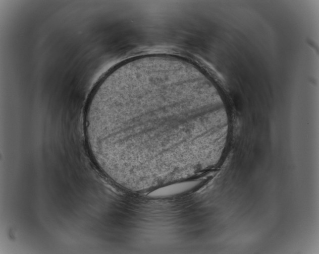 X0000096951174200803071021