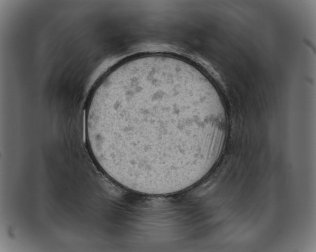 X0000096951175200803071021
