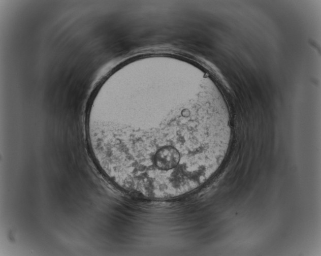 X0000096951176200803071021